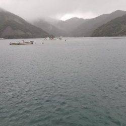 何故か秋イカ終盤？