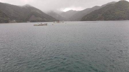 何故か秋イカ終盤？