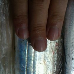 ちょこっと太刀魚調査