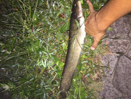 夜中の暇つぶし