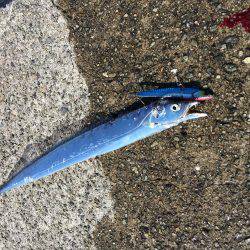 デイサーベリング