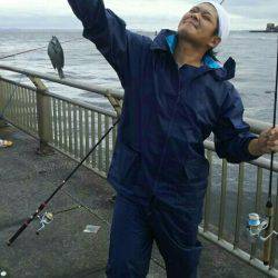 ヒイラギ、メジナ、ギンポ