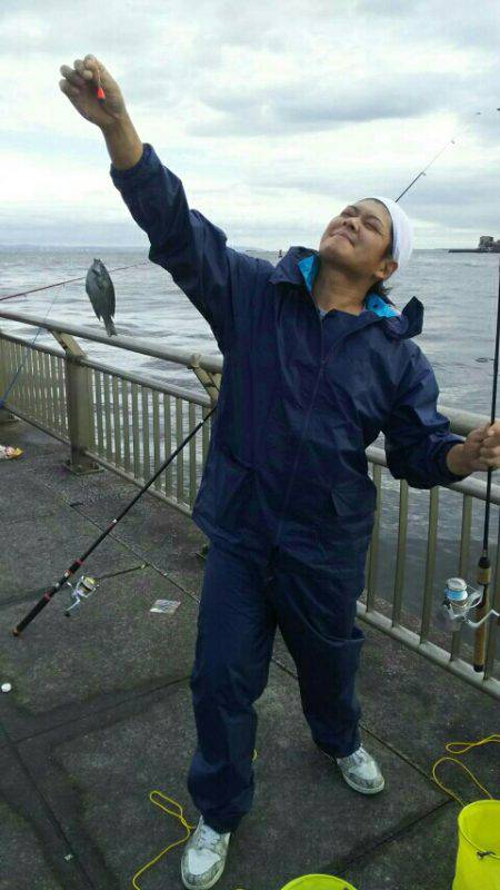 ヒイラギ、メジナ、ギンポ