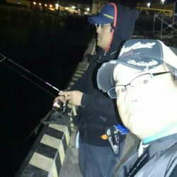 夕マヅメちょこっとアジング