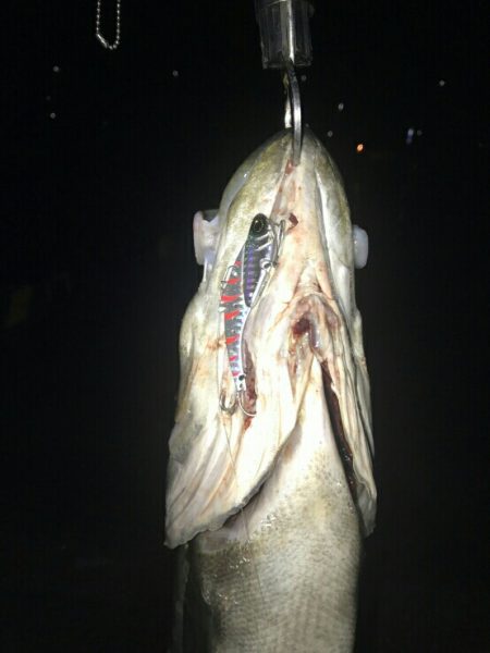 スーパーボイル！！