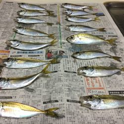 風が強いアジング