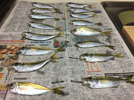 風が強いアジング