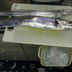 神戸沖 船太刀魚 西宮釣人家にて