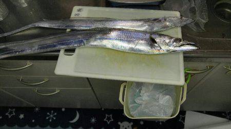 神戸沖 船太刀魚 西宮釣人家にて