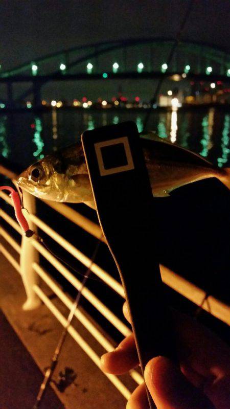 舞洲アジングNO4