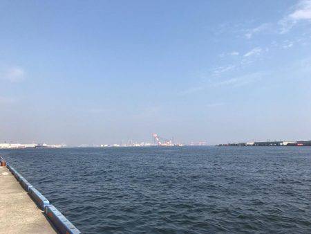 釣れるべくして