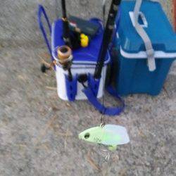 西野渡船さんを利用