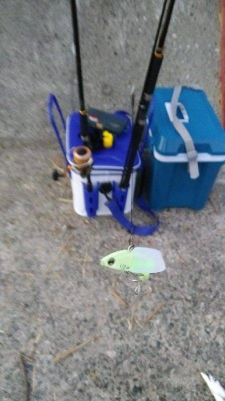 西野渡船さんを利用