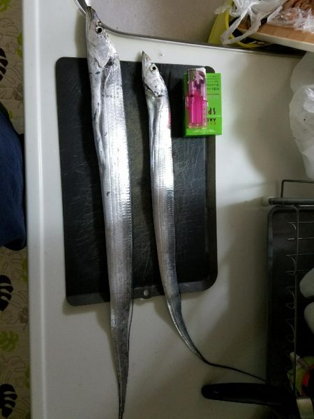 秋雨の中で･･･