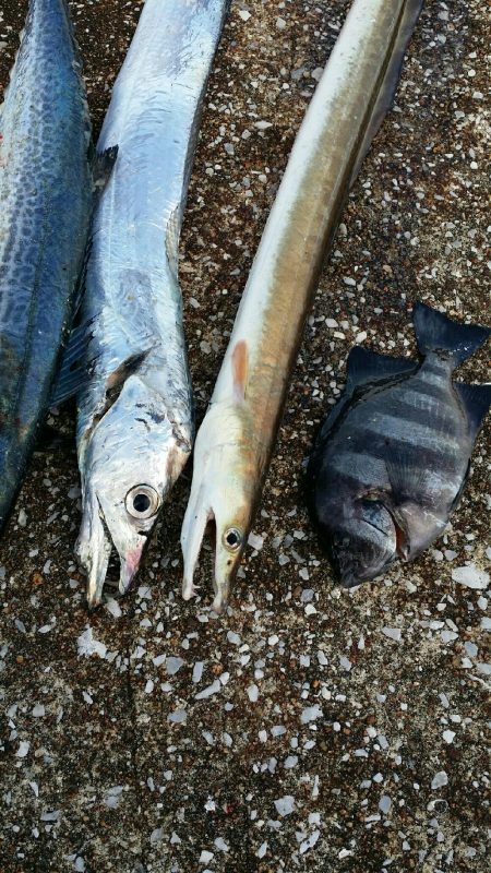 良い出来じゃないでしょうか?