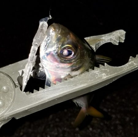 雨でも高活性！