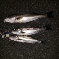 リアクションバイト