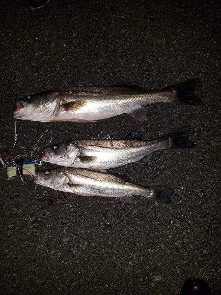 リアクションバイト