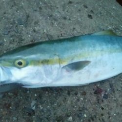 台風前のショアジギ