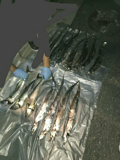 たまたま！？！？