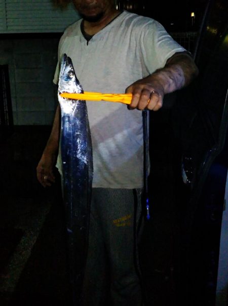 刀狩り！良型があがりました！