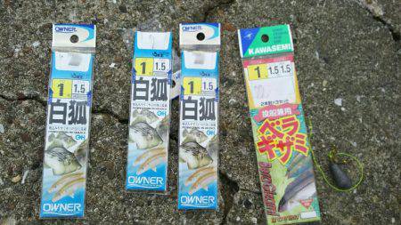 胴突きでカワハギ、穴からカニ