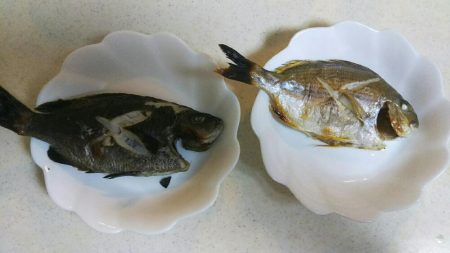 鯛は鯛でも(￣▽￣;)