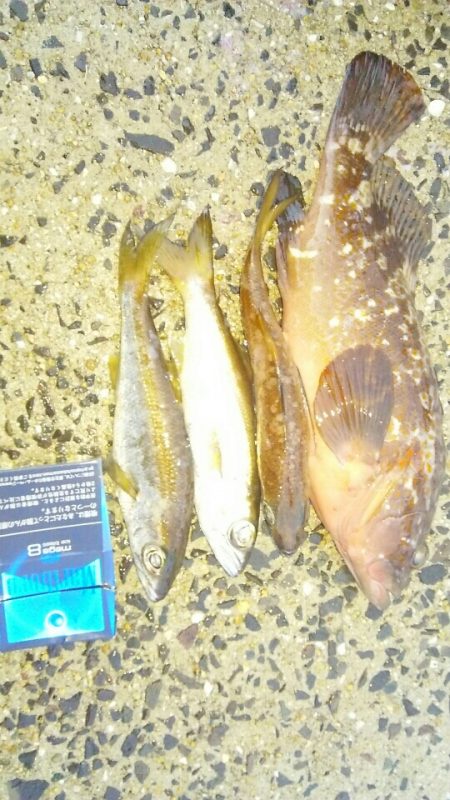 いつまでも釣れそう