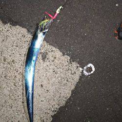 エロいピンクにかかりました。