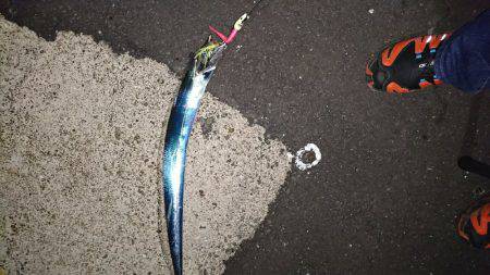 エロいピンクにかかりました。