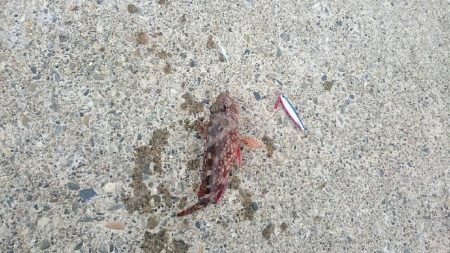 和歌山ランガン