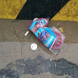 ファミリーフィッシング！