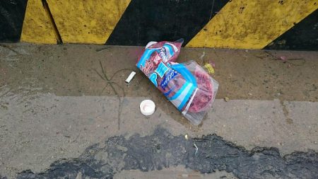 ファミリーフィッシング！