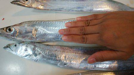 金曜日の仕事終わりの日課！