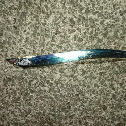 アジングのはずが