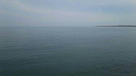 先週に続き青物狙い