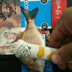 デイライトゲーム。