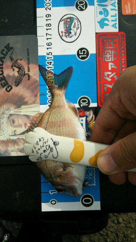 デイライトゲーム。