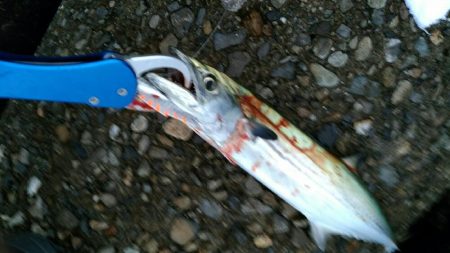 台風が来る前に