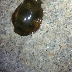 キープサイズが…