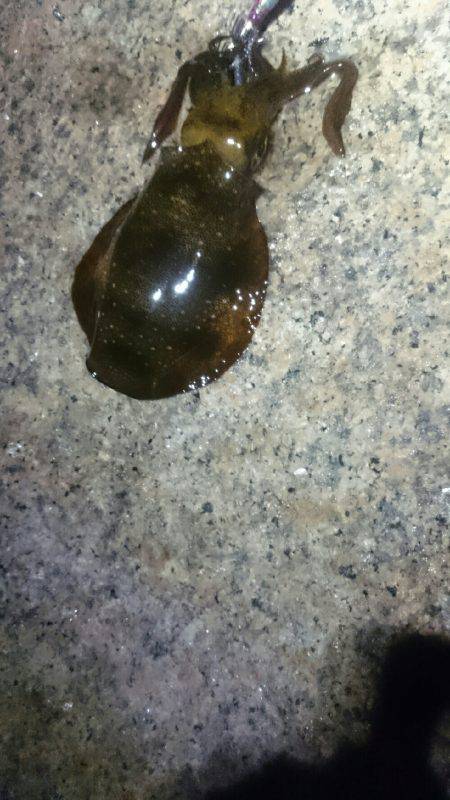 キープサイズが…