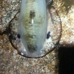 キープでけた。