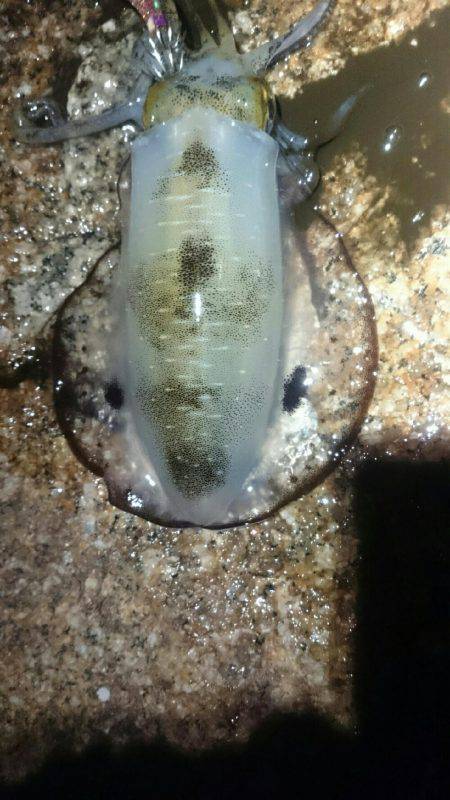 キープでけた。