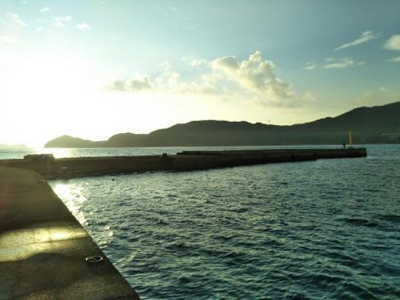 阿南市の椿泊でタチウオ好調