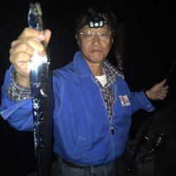 アオリイカゲームとタチウオゲーム