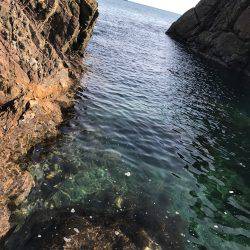 初 日本海 釣果