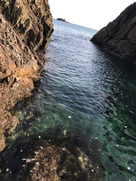 初 日本海 釣果