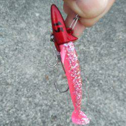 タチウオ朝釣ってすぐ刺身