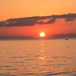 スレています。