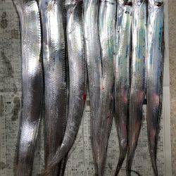 夕まずめチャレンジ(^^)